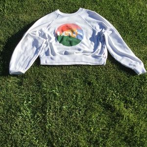 Cute Levi’s small size cropped sweater